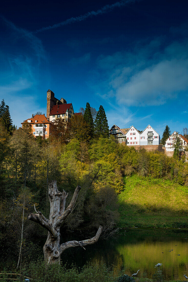 Berneck, Altensteig, Landkreis Calw, Schwarzwald, Baden-Württemberg, Deutschland