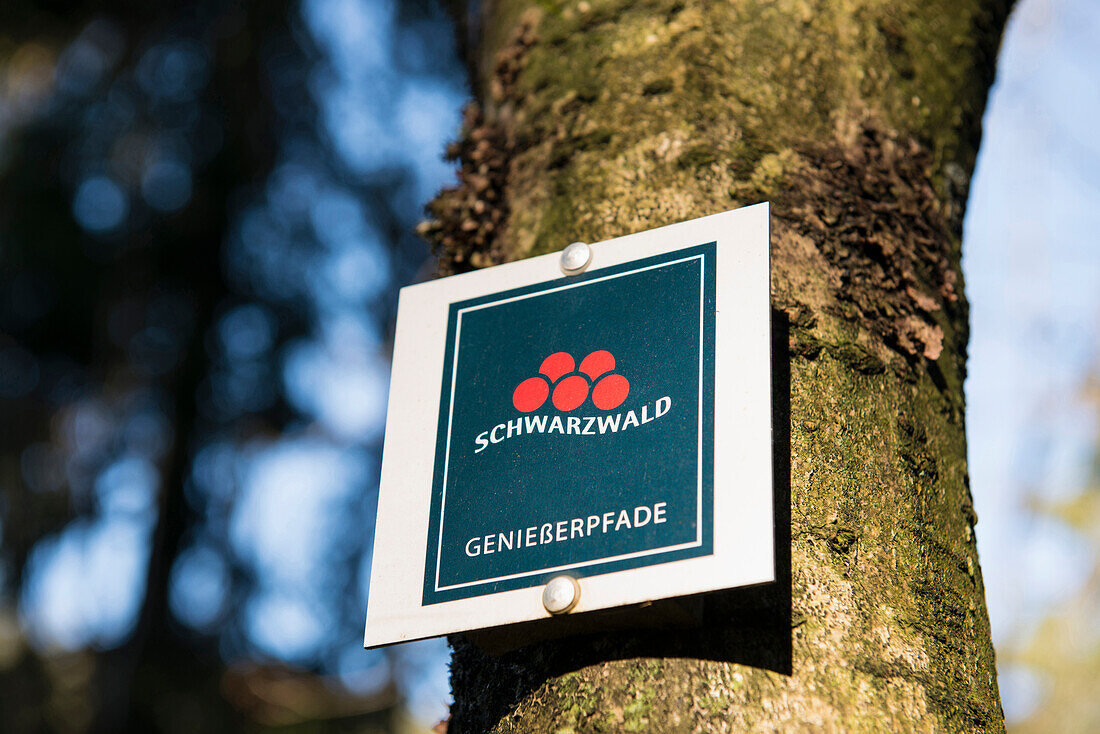 Hiking sign at Lake Mummelsee, Seebach, near Achern, Black Forest, Baden-Wuerttemberg, Germany
