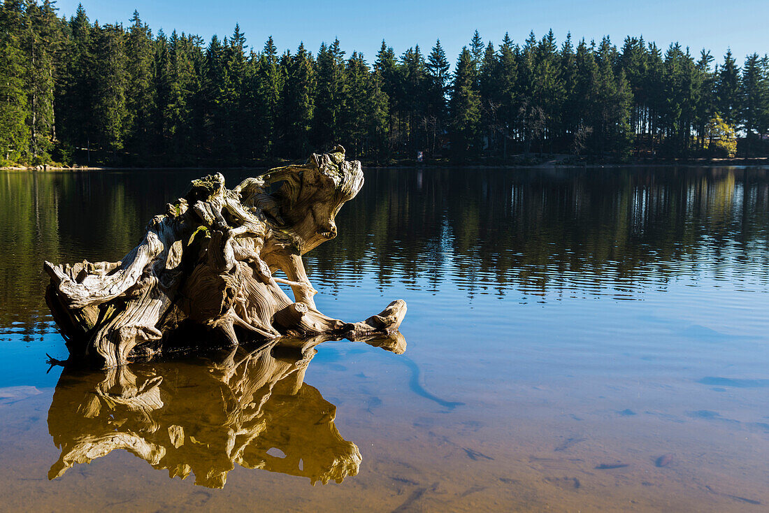 Lake Mummelsee, Seebach, near Achern, Black Forest, Baden-Wuerttemberg, Germany