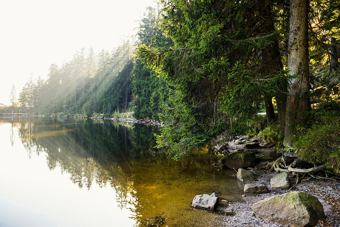 lake Mummelsee, Seebach, near Achern, Black Forest, Baden-Wuerttemberg, Germany