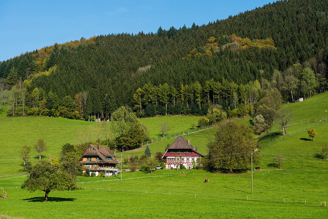 Wolfachtal, bei Wolfach, Ortenau, Schwarzwald, Baden-Württemberg, Deutschland