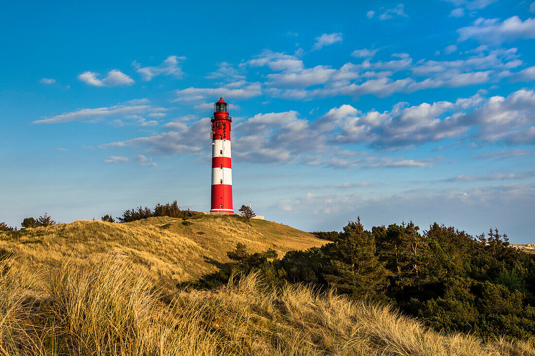 Lighthouse in the dunes, Amrum Island, North Frisian Islands, Schleswig-Holstein, Germany