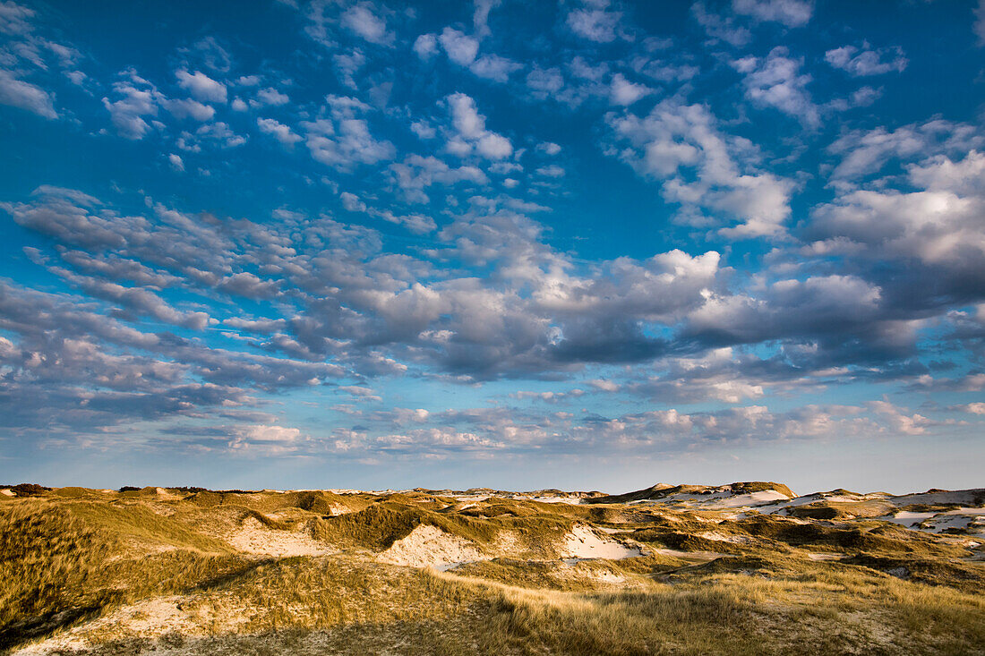 Dunes and cloudy sky, Amrum Island, North Frisian Islands, Schleswig-Holstein, Germany