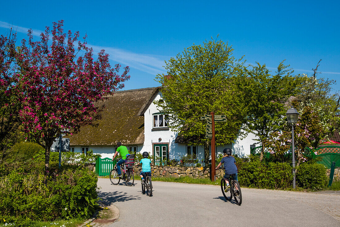 Cyclists infront of a thatched house in Nebel, Amrum Island, North Frisian Islands, Schleswig-Holstein, Germany