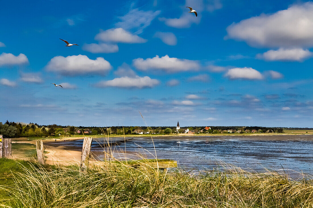 Blick auf Nebel, Amrum, Nordfriesische Inseln, Nordfriesland, Schleswig-Holstein, Deutschland