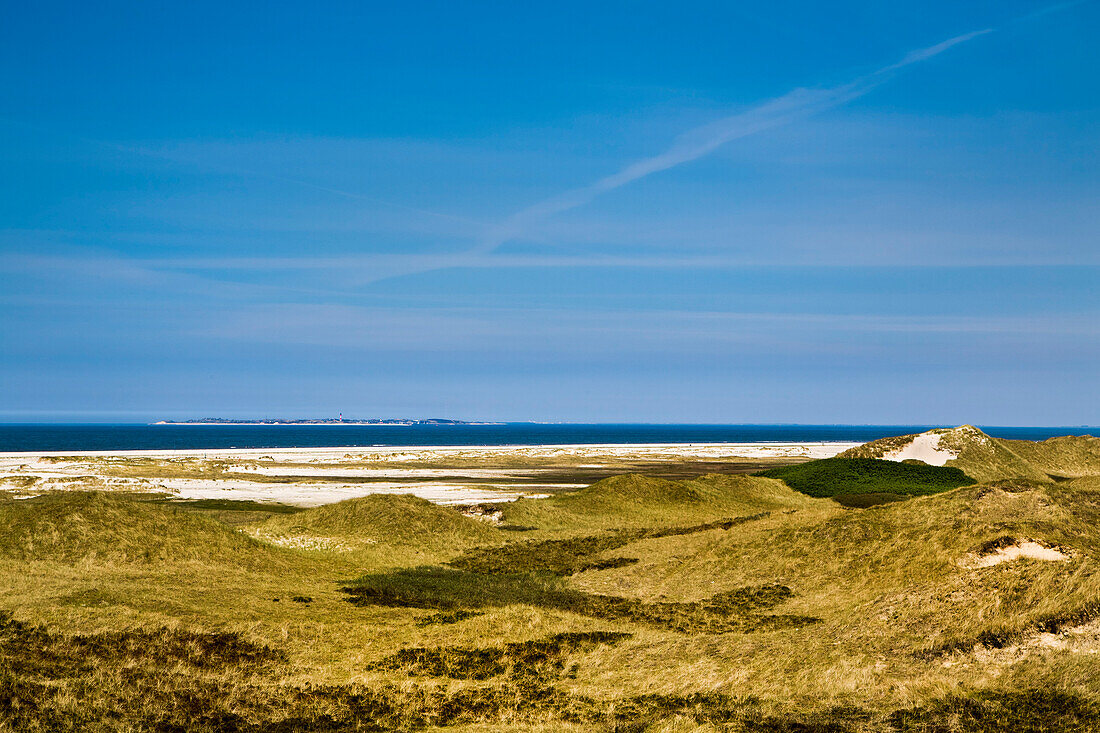 Dunes, Amrum Island, North Frisian Islands, Schleswig-Holstein, Germany