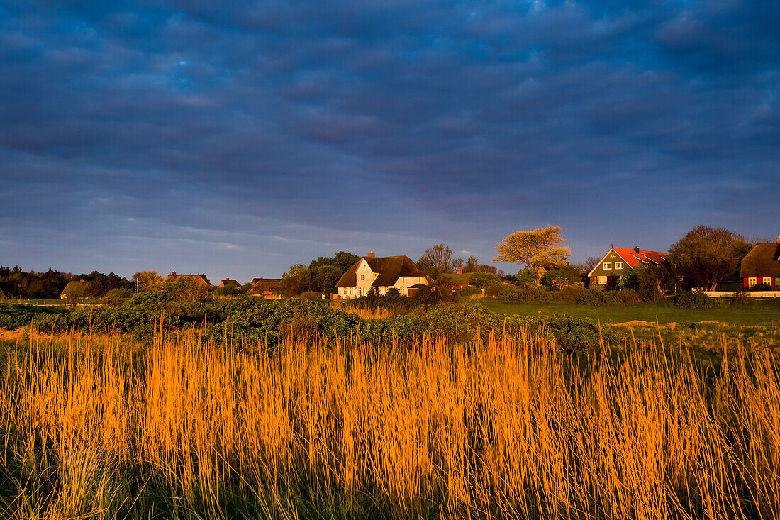 Thatched house, Steenodde village, Amrum Island, North Frisian Islands, Schleswig-Holstein, Germany
