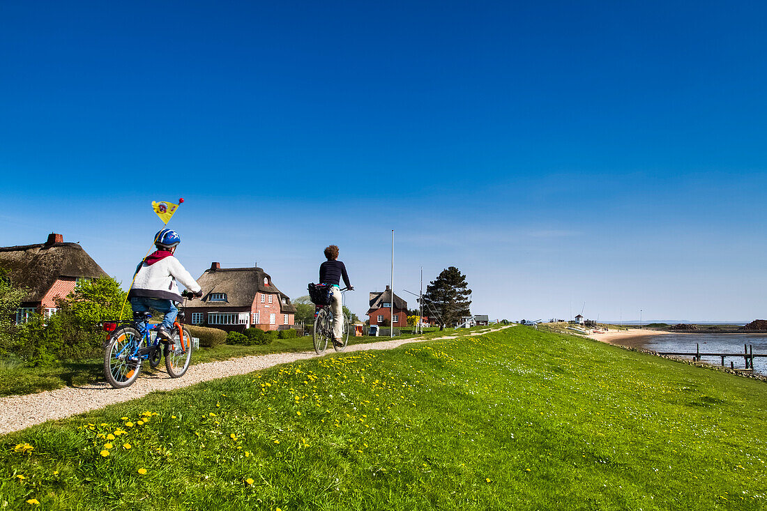 Cyclists on the dike, Steenodde village, Amrum Island, North Frisian Islands, Schleswig-Holstein, Germany
