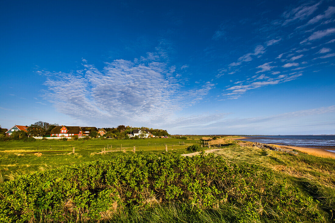 Steenodde village, Amrum Island, North Frisian Islands, Schleswig-Holstein, Germany