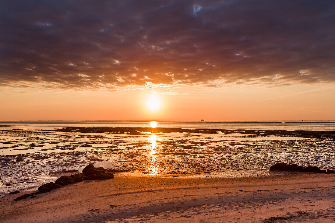 Sonnenaufgang über dem Wattenmeer, Steenodde, Amrum, Nordfriesische Inseln, Nordfriesland, Schleswig-Holstein, Deutschland