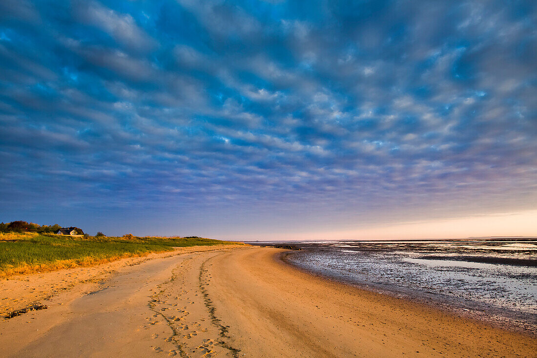 Sunrise over the wadden sea, Amrum Island, North Frisian Islands, Schleswig-Holstein, Germany