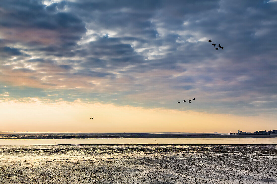 Cloudy sky over the Wadden sea, Amrum Island, North Frisian Islands, Schleswig-Holstein, Germany