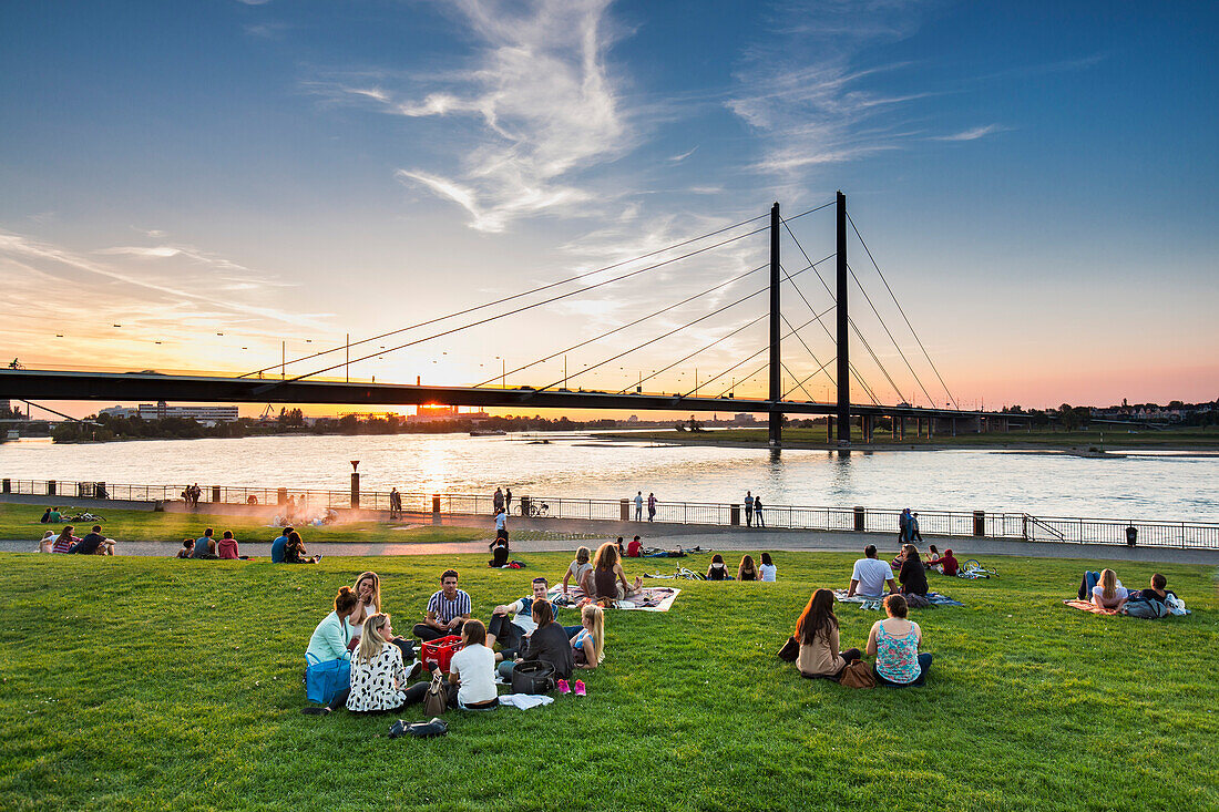 Sunset at the Rhine meadows, Duesseldorf, North Rhine Westphalia, Germany