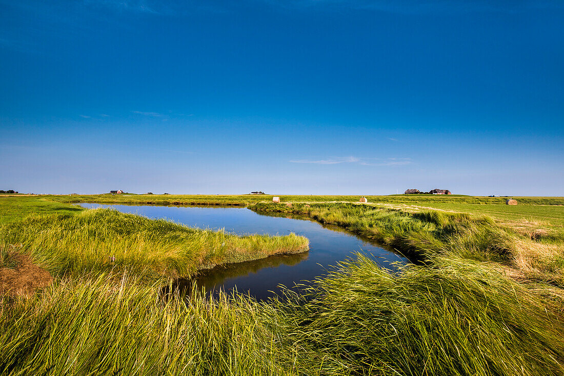 Salt marsh and dwelling mound, Hallig Langeness, North Frisian Islands, Schleswig-Holstein, Germany