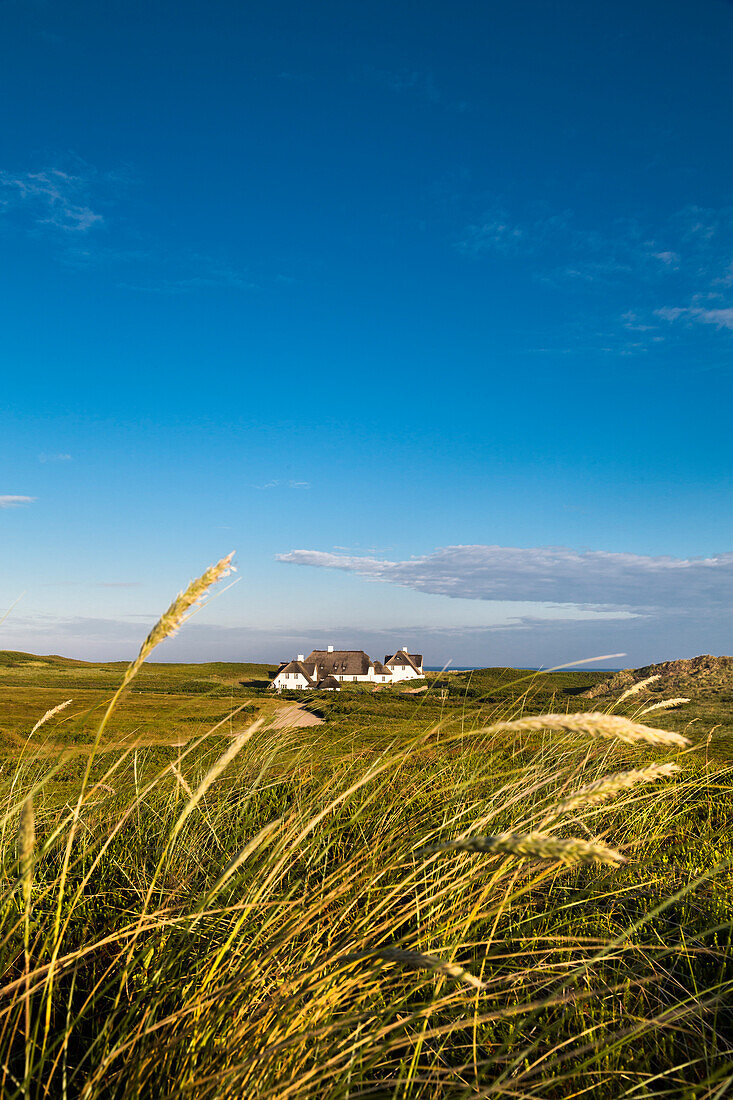 Thatched house, Kampen, Sylt Island, North Frisian Islands, Schleswig-Holstein, Germany