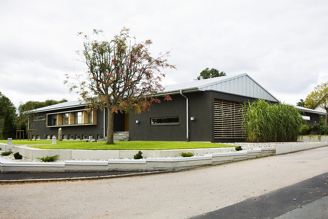 A single storey, newly built house with a grey facade and a landscape front garden with a tree
