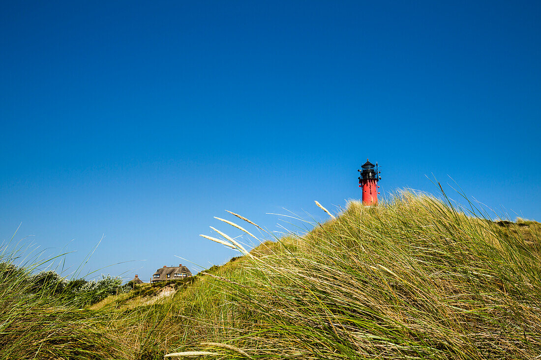 Dunes and lighthouse, Hoernum, Sylt Island, North Frisian Islands, Schleswig-Holstein, Germany