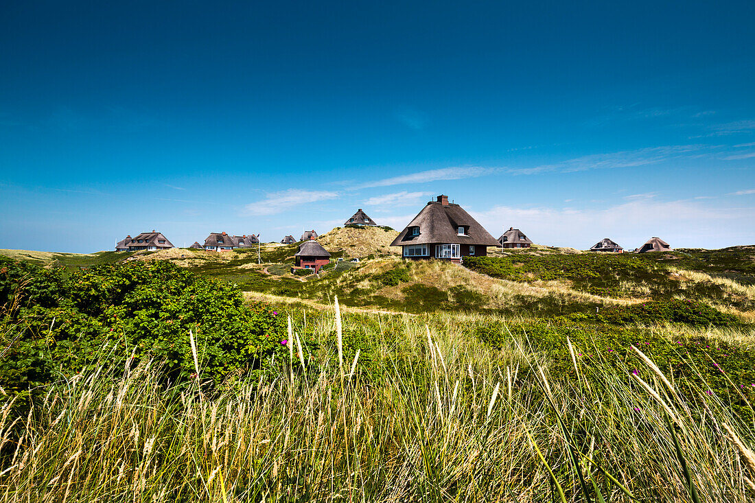Thatched houses in the dunes, Hoernum, Sylt Island, North Frisian Islands, Schleswig-Holstein, Germany