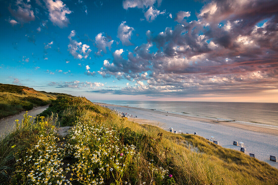 Sunset, beach and dunes, Wenningstedt, Sylt Island, North Frisian Islands, Schleswig-Holstein, Germany