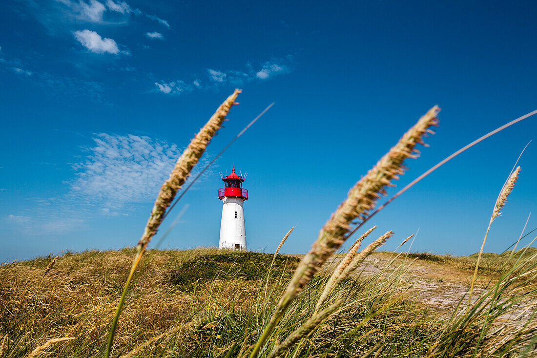 List west Lighthouse, Ellenbogen, Sylt Island, North Frisian Islands, Schleswig-Holstein, Germany