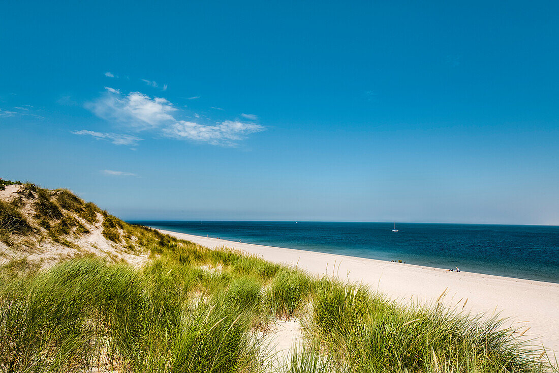 Dünen, Ellenbogen, Sylt, Nordfriesland, Schleswig-Holstein, Deutschland