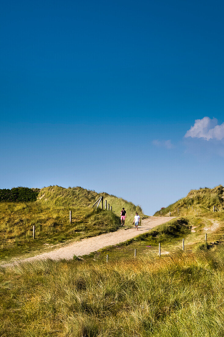 Dunes, Ellenbogen, Sylt Island, North Frisian Islands, Schleswig-Holstein, Germany