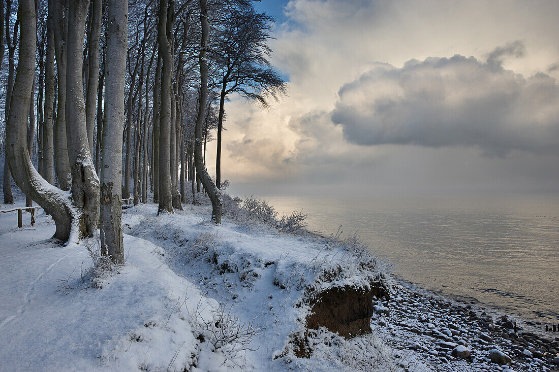 Winter an der Ostseeküste, Ostseebad Heiligendamm, Mecklenburg Vorpommern, Deutschland
