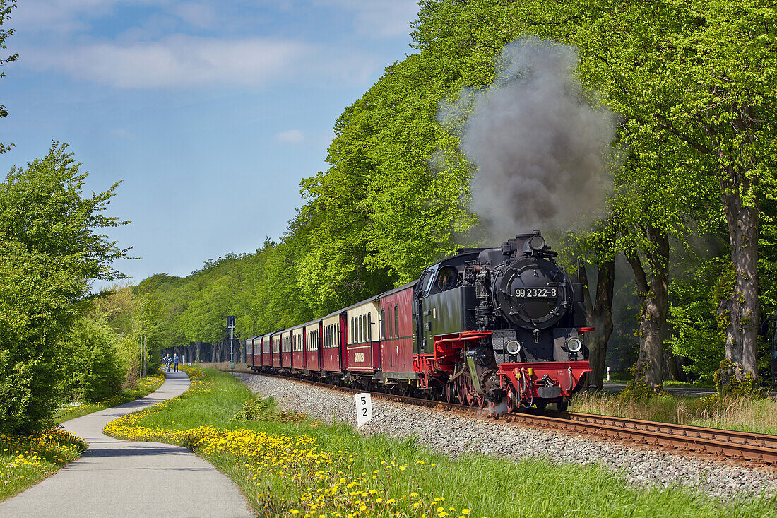 Mecklenburgische Baederbahn steam train,near Heiligendamm, Mecklenburg Western Pomerania, Germany