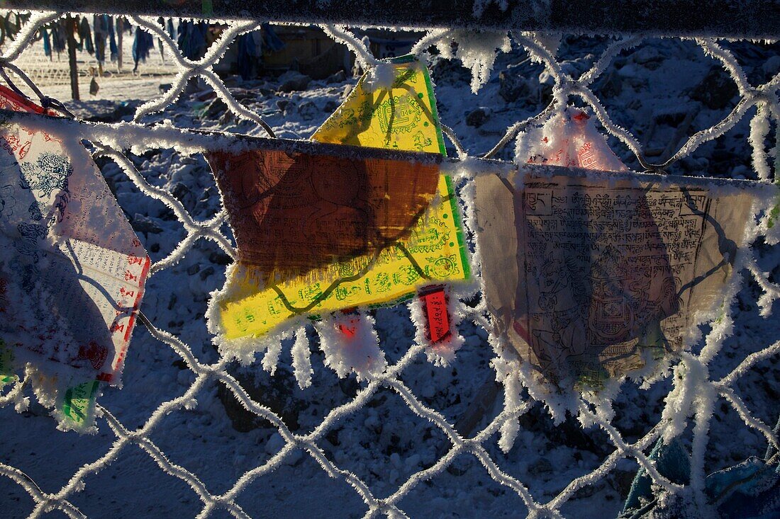 Prayer flags on a fence with hoar frost, Mongolia