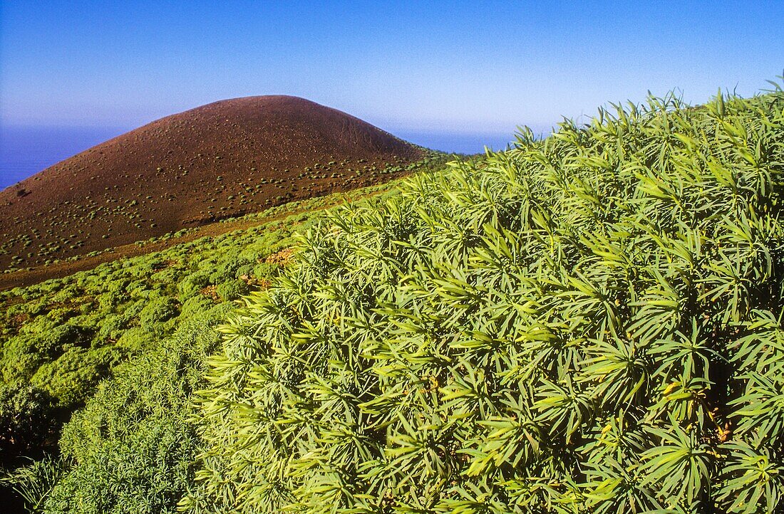 View of La Dehesa, El Hierro, Canary Island, Spain, Europe.