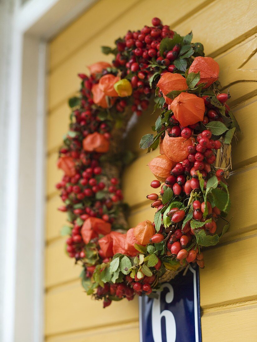 A wreath of lampion flowers and rosehips hanging on a door