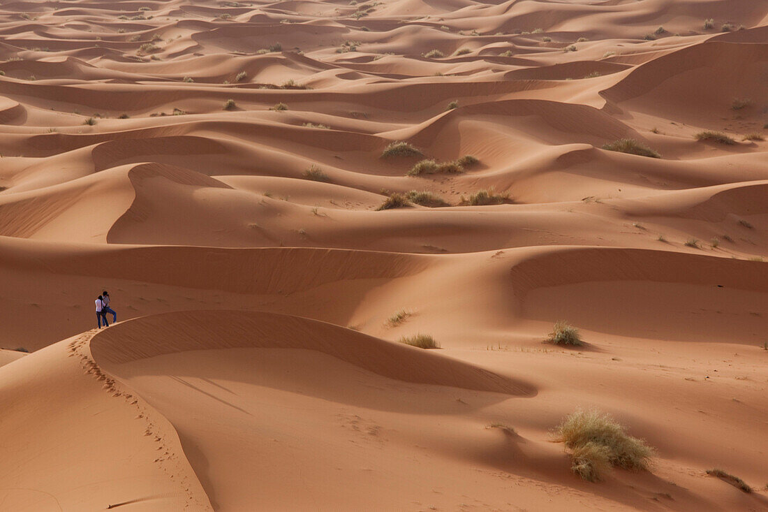 Photographers in search for a special angle in the sand dunes of Merzouga