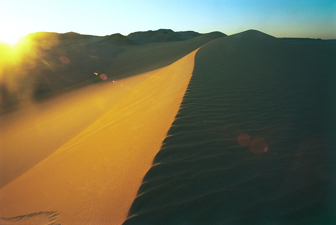 Photograph of a sand dune in the western desert of Egypt