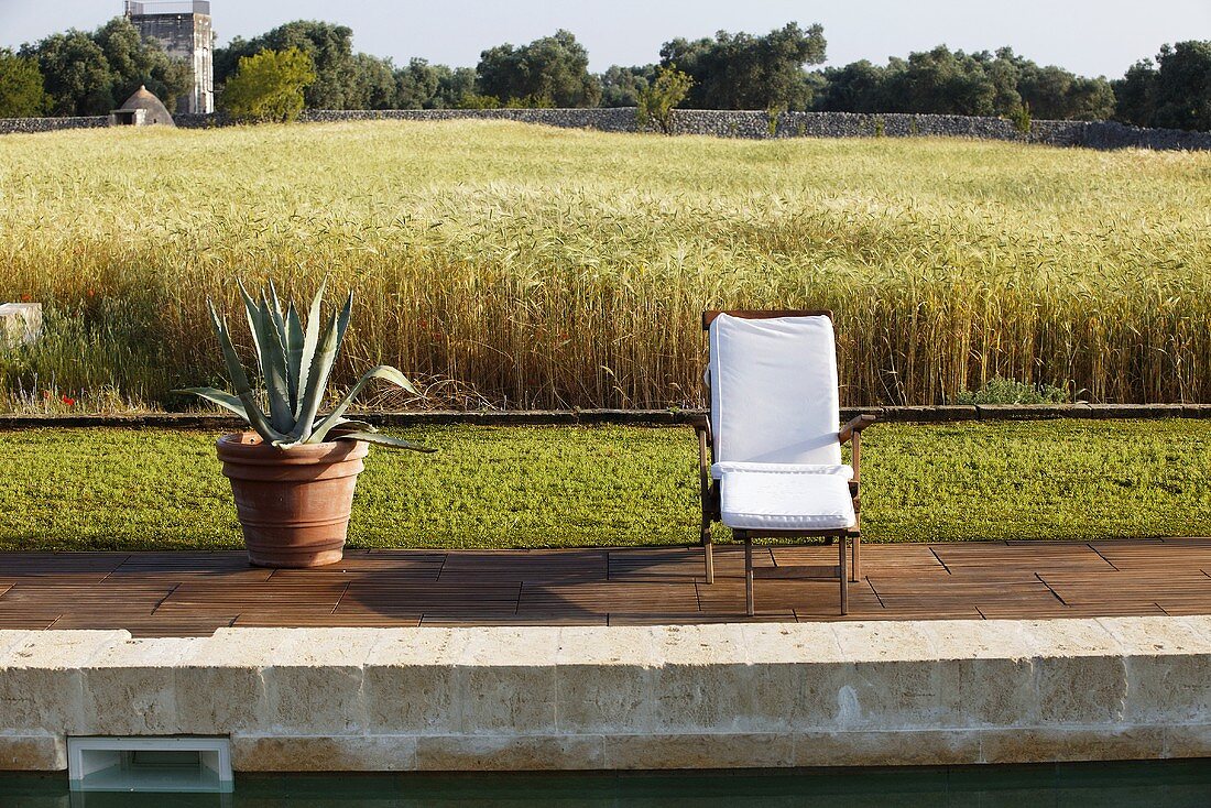 Agave im Topf und Polster auf Liegestuhl am Poolrand mit Blick auf Getreidefeld