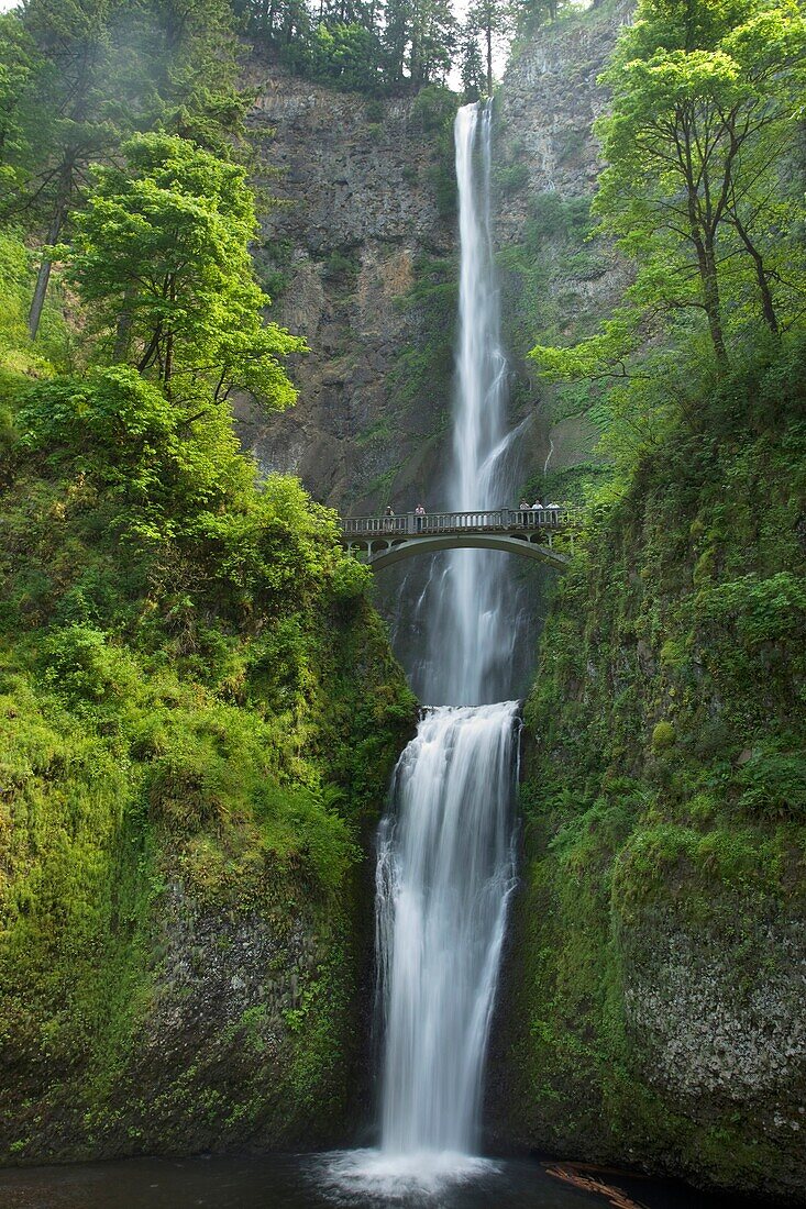 FOOTBRIDGE OVER MULTNOMAH WATERFALLS lLARCH MOUNTAIN COLUMBIA RIVER GORGE OREGON USA