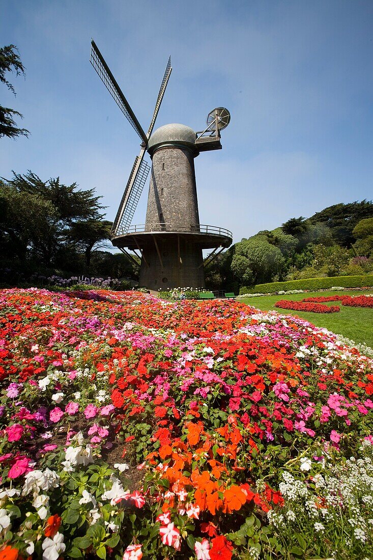 San Francisco, California, Golden Gate Park, Queen Whilhemena Windmill, USA
