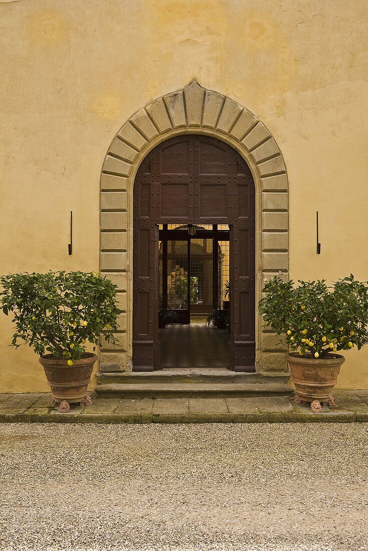 Elegant entry with stone archway and lemon trees in planters