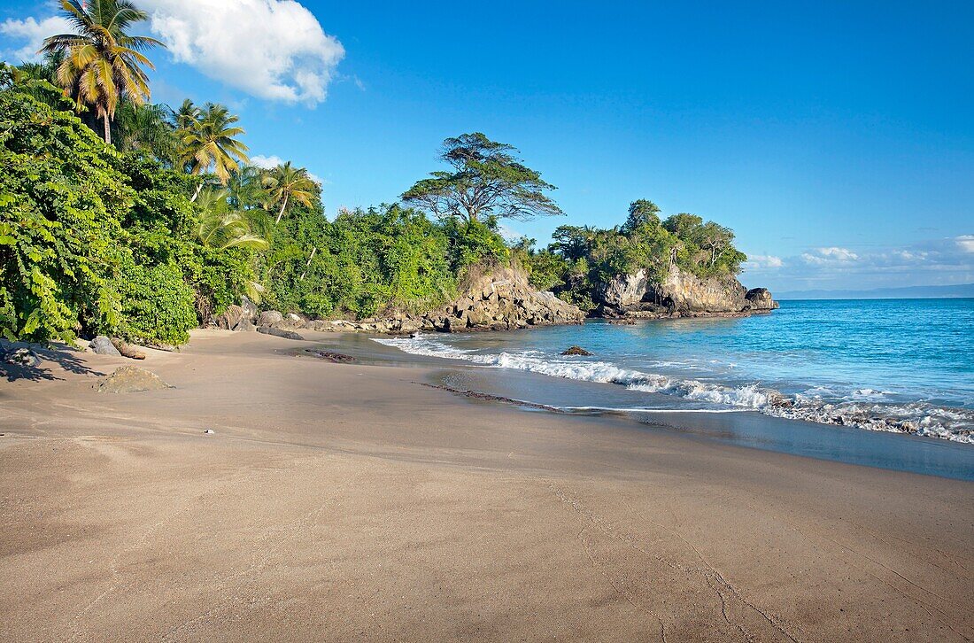 Los Cacaos beach  Samana Peninsula, Dominican Republic, West Indies, Caribbean