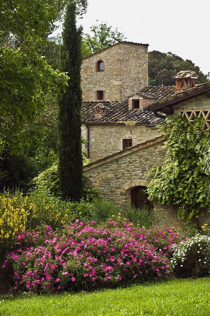 Blooming flowers and cypresses in the garden of a Mediterranean grange