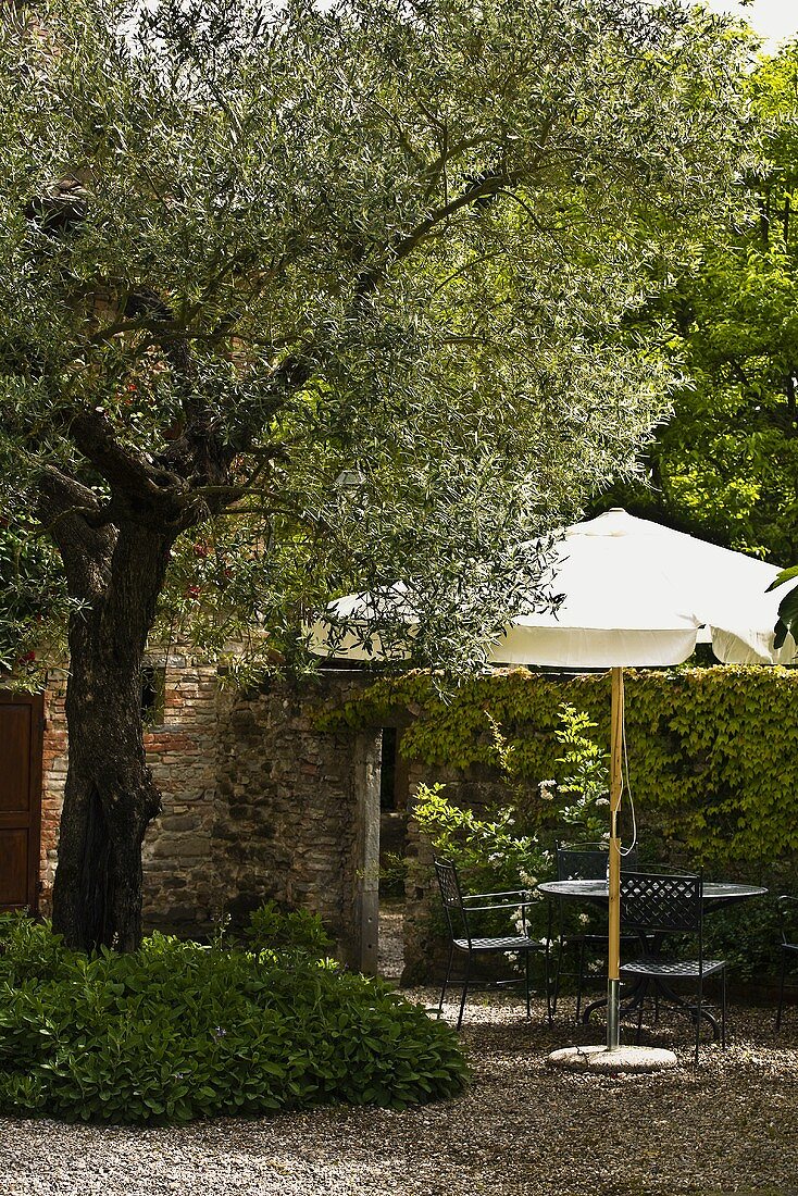 Gravel patio with a tree and seating area under a sun umbrella