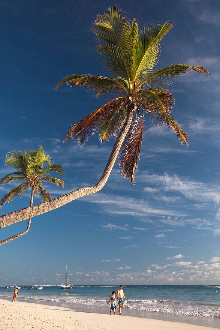 Dominican Republic, Punta Cana Region, Bavaro, Bavaro beach, palm