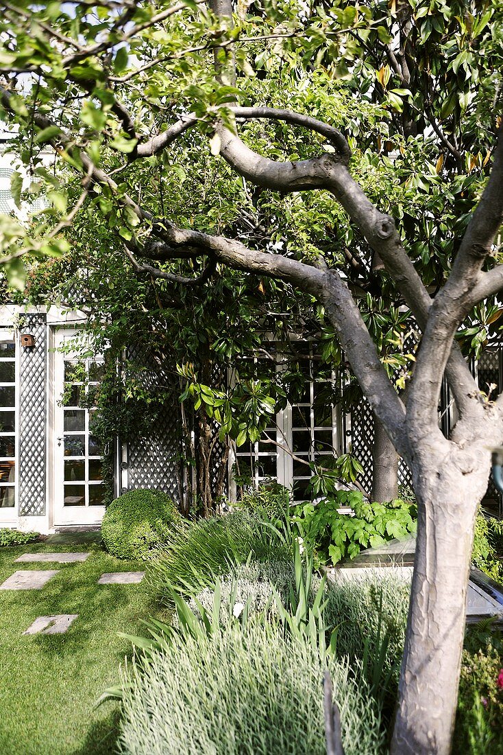 Well manicured garden with trees and a house with French doors