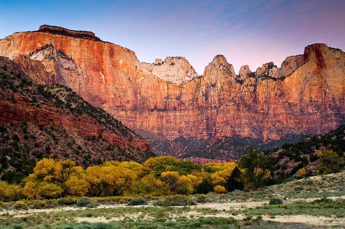 Dawn light on The West Temple and Towers of the Virgin, Zion Canyon, Zion National Park, Utah