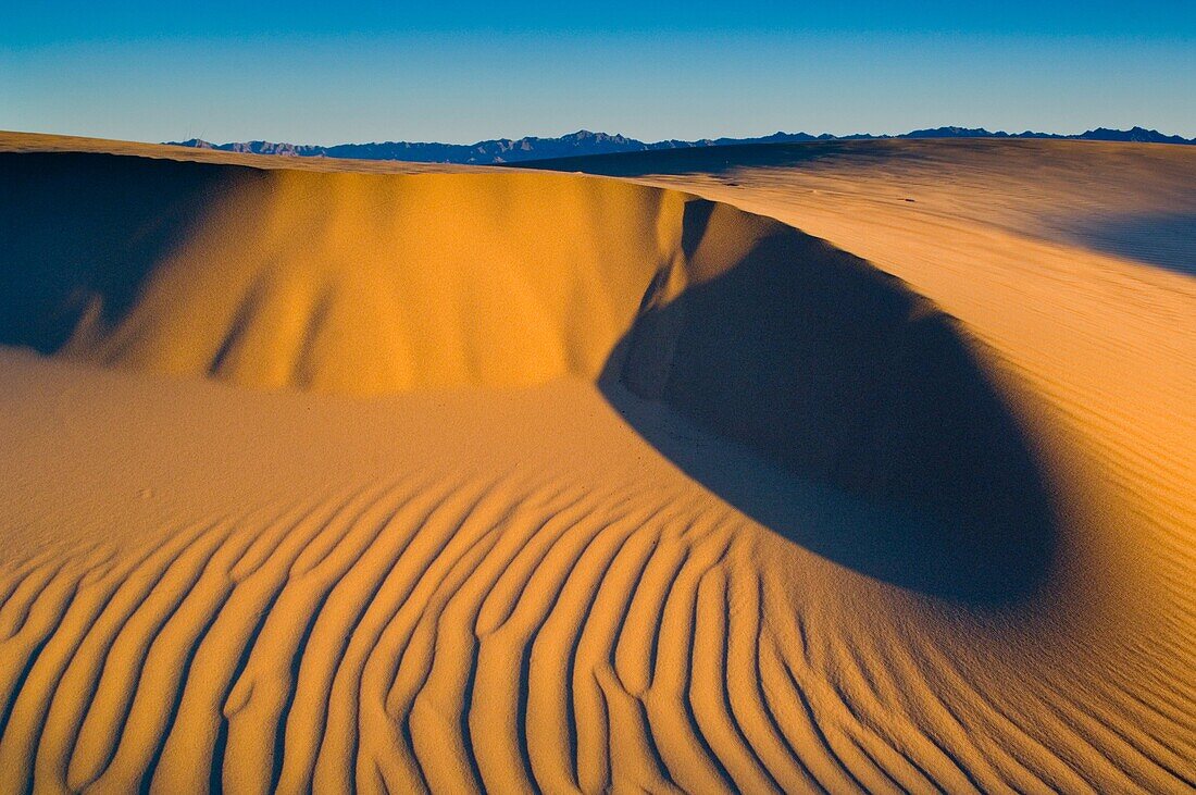 Wind blown patterns in sand dunes at sunrise, North Algodones Dunes Wilderness, Imperial County, California