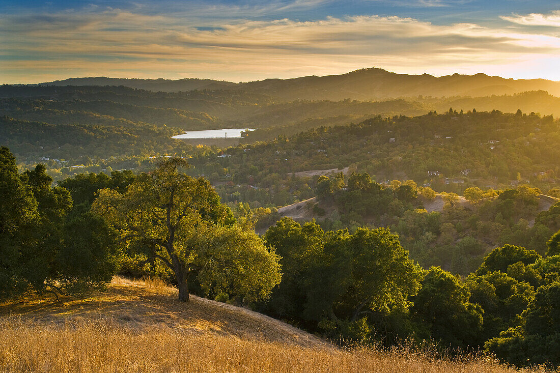 Sunset in the hills above Lafayette, Briones Regional Park, Contra Costa County, California.