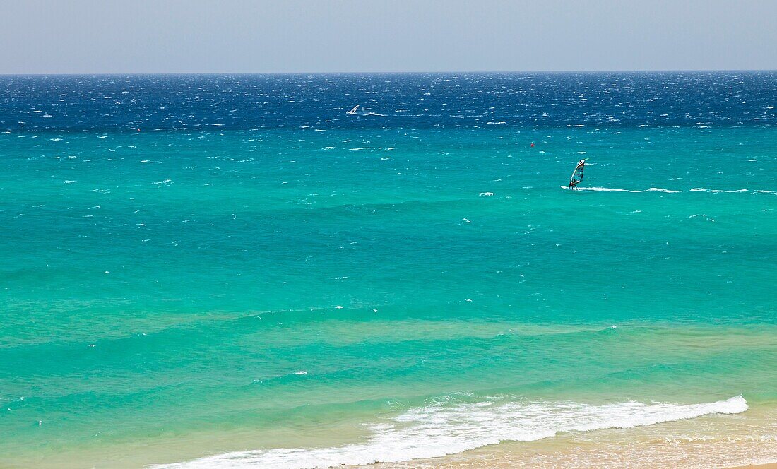 Windsurf at Playa de Sotavento, Jandia peninsula, Fuerteventura, Las Palmas, Canary Islands, Spain