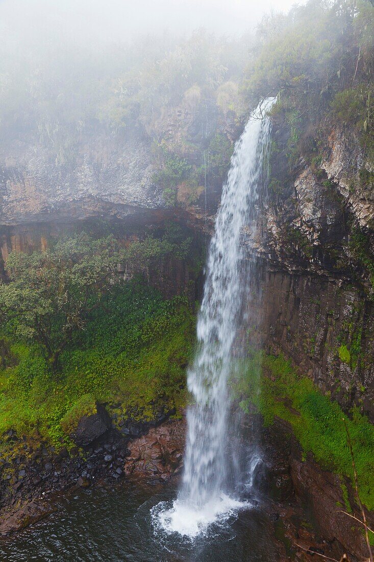 Chania falls, Aberdare National Park, Kenya, Africa.
