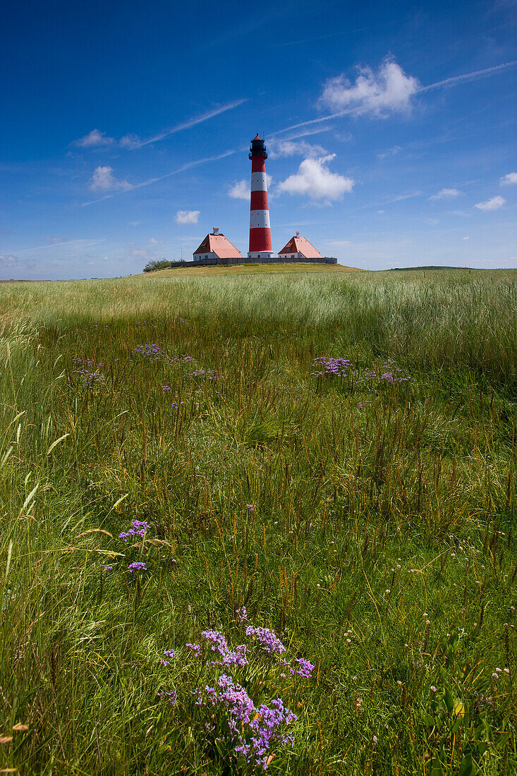 Westerhever, Germany, Schleswig _ Holstein, North Sea coast, lighthouse, pastureland