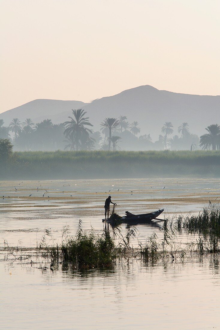 Fluss und Palmenwälder in nebliger Morgenstimmung mit Fischer auf dem Boot, Nil, Ägypten