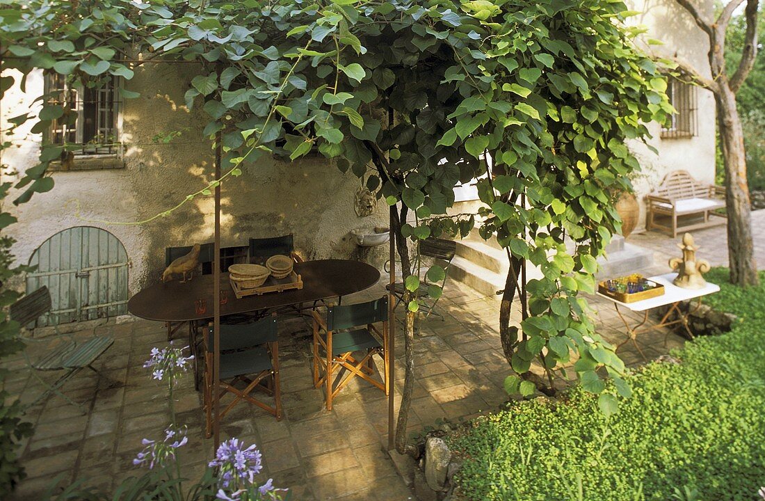 Landhaus mit berankter Pergola über Terrassenplatz und gepflastertem Boden